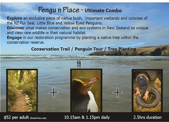 11220099_1073192176026576_7323709737502410506_n