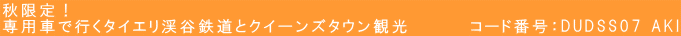 秋限定! 専用車で行くタイエリ渓谷鉄道とクイーンズタウン観光 コード番号:DUDSS07 AKI